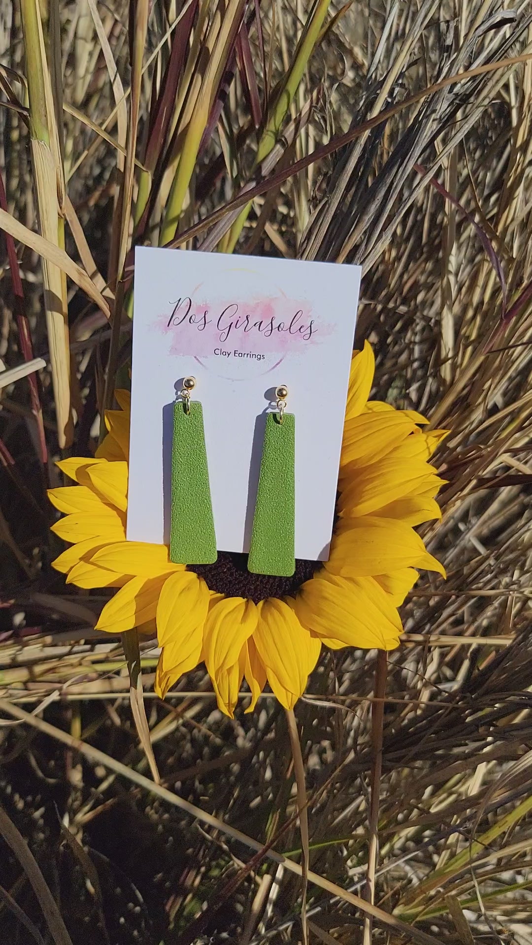 Gaviota- Stainless Steel