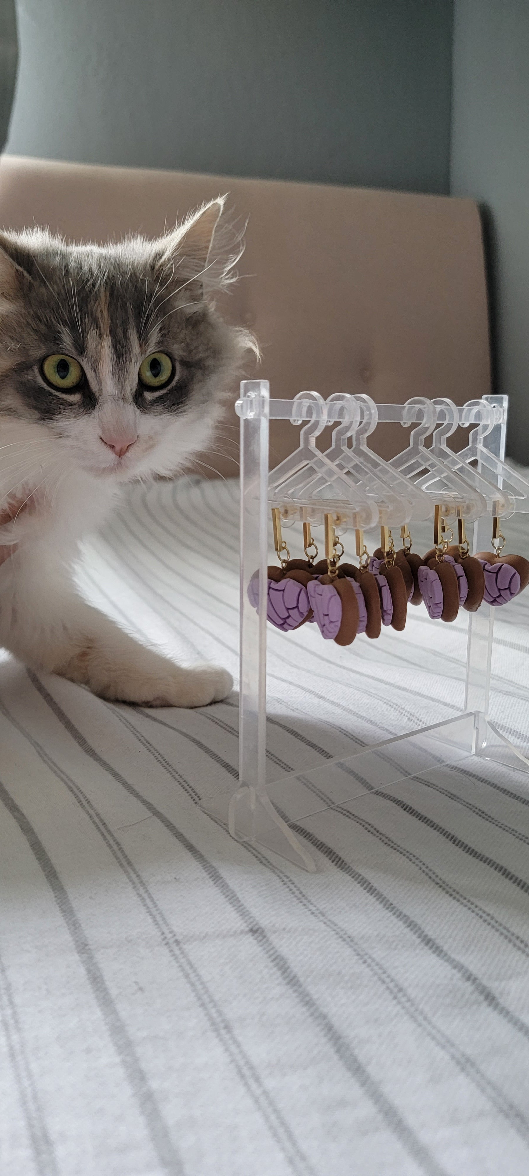 Purple Heart Conchitas