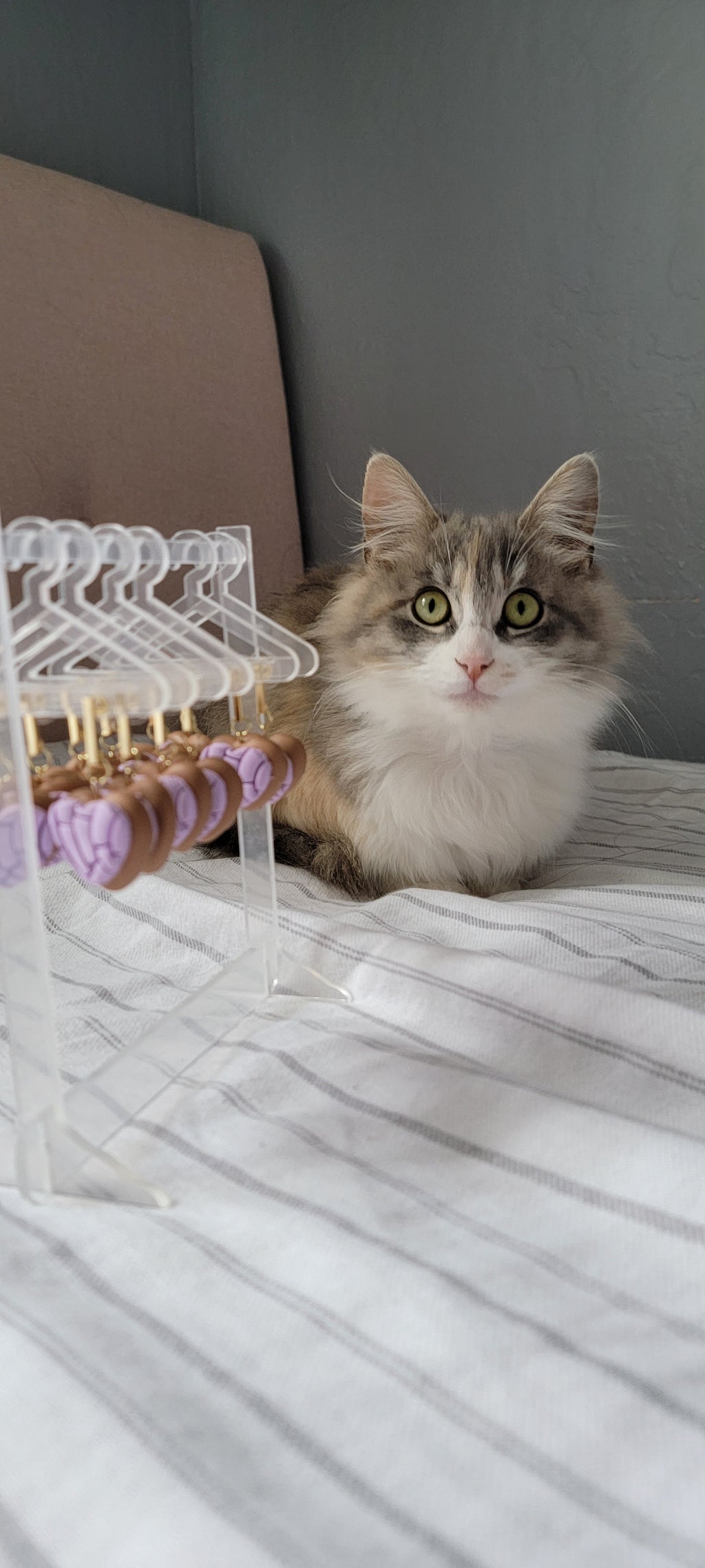 Purple Heart Conchitas