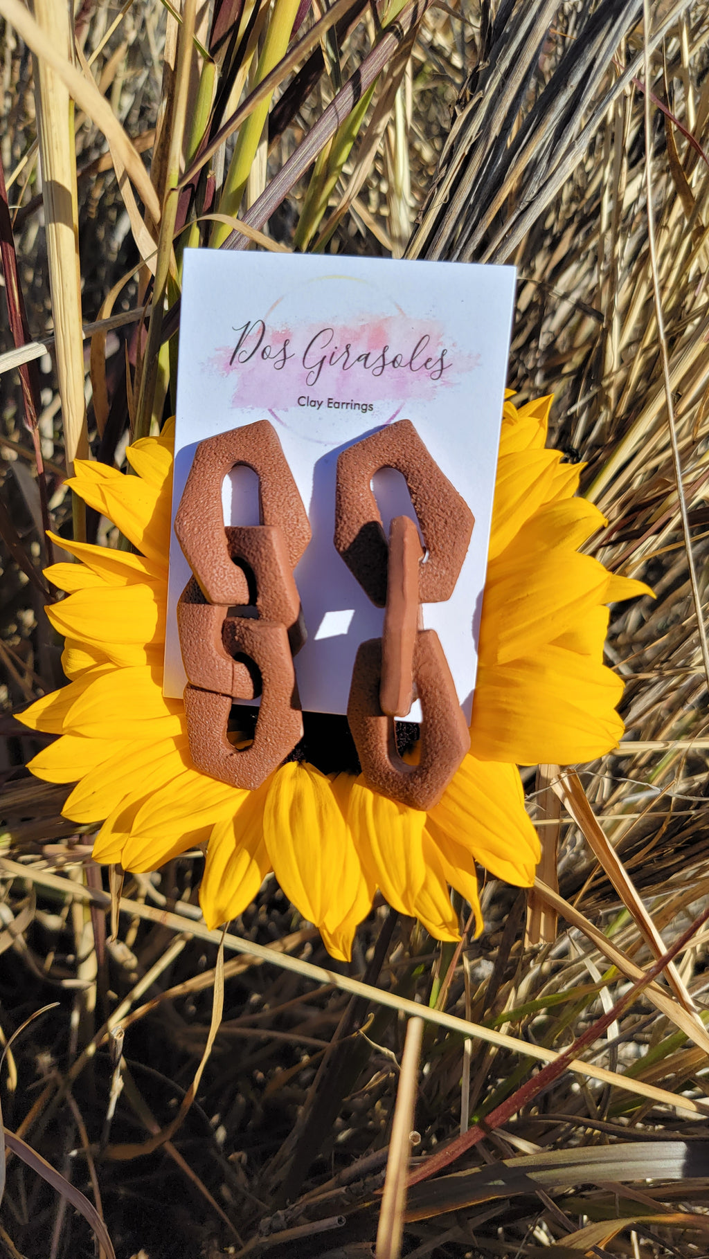 Maria- Lo que la Vida Me Robo