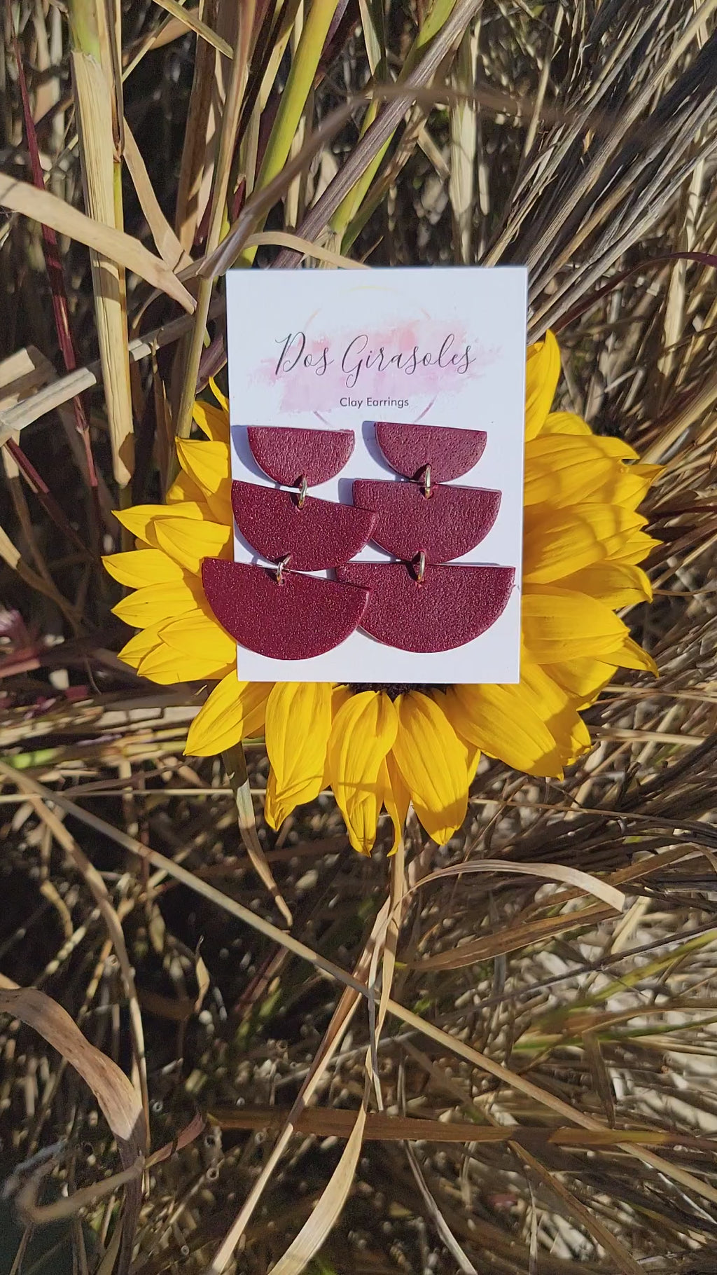 Paola- La Ursurpadora