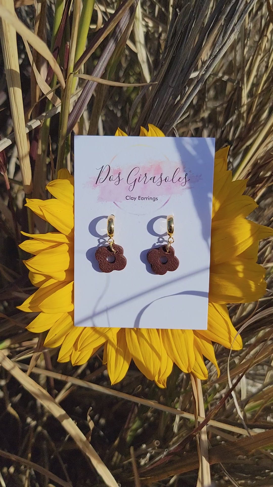 Rosaura- Gata Salvaje