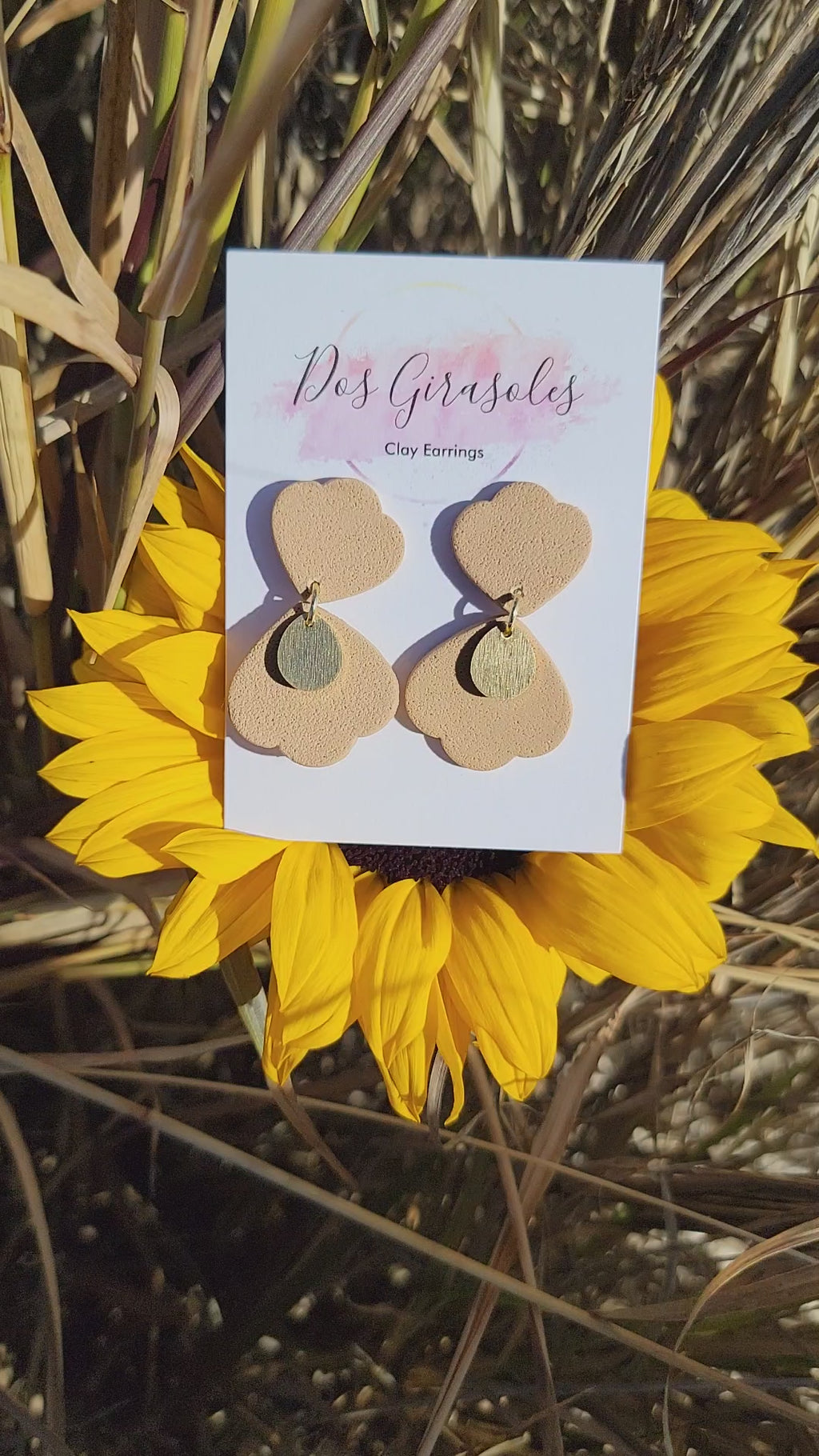 Graciela- Lo que la Vida Me Robo