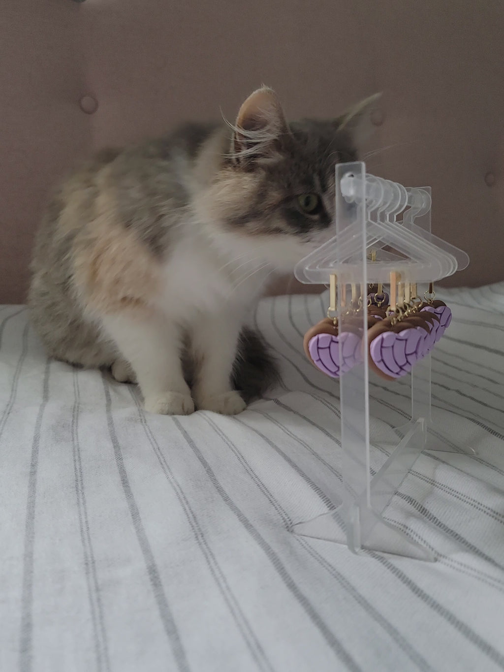 Purple Heart Conchitas