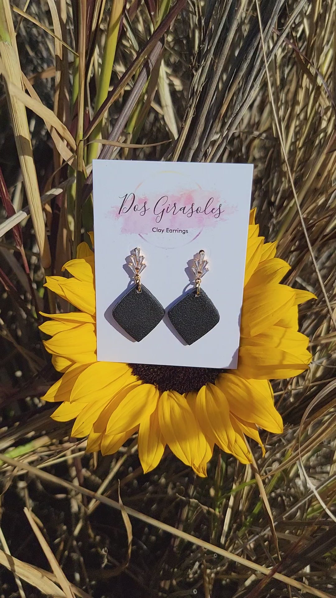 Titi- Sin Senos Si Hay Paraiso