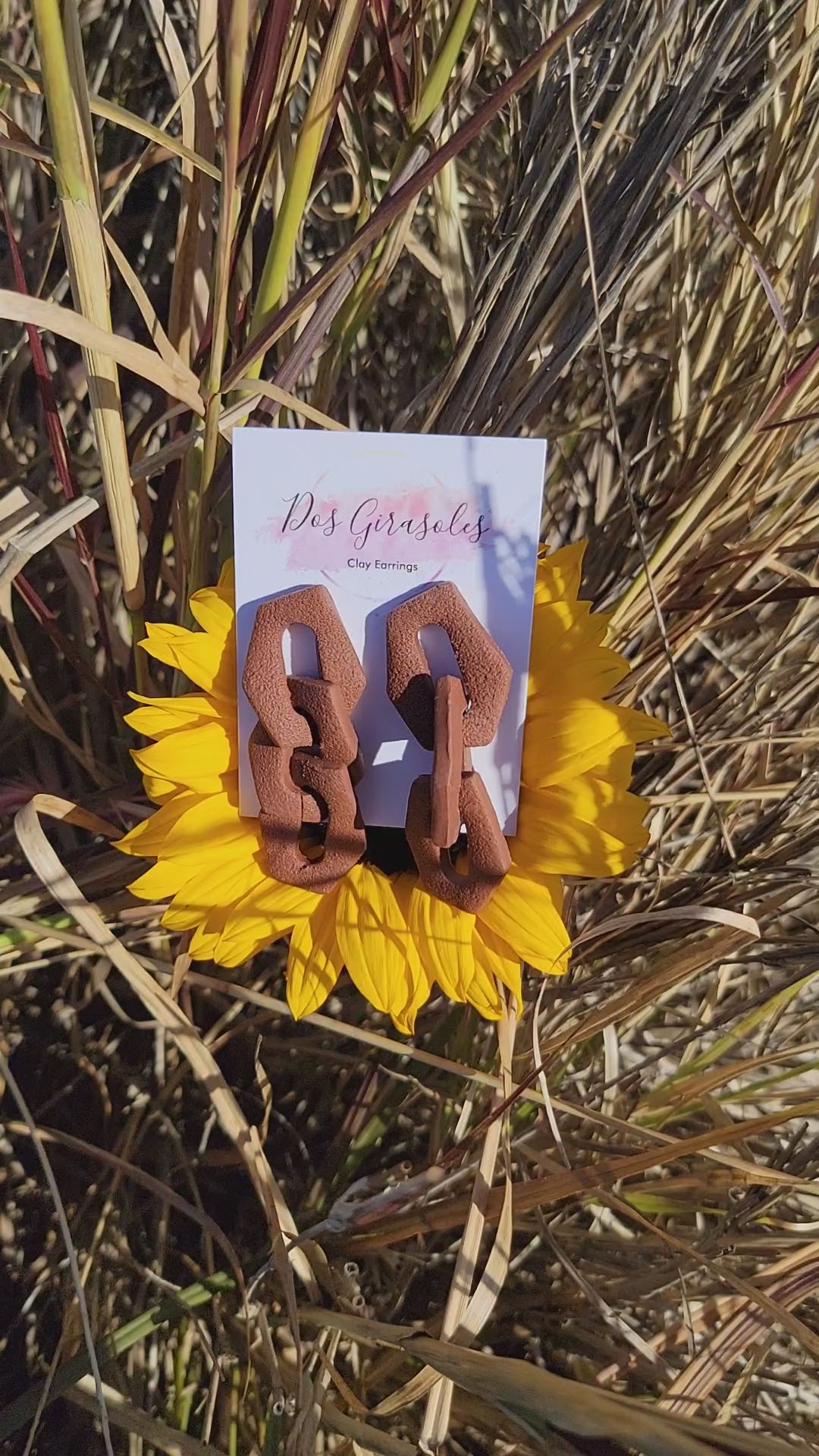 Maria- Lo que la Vida Me Robo